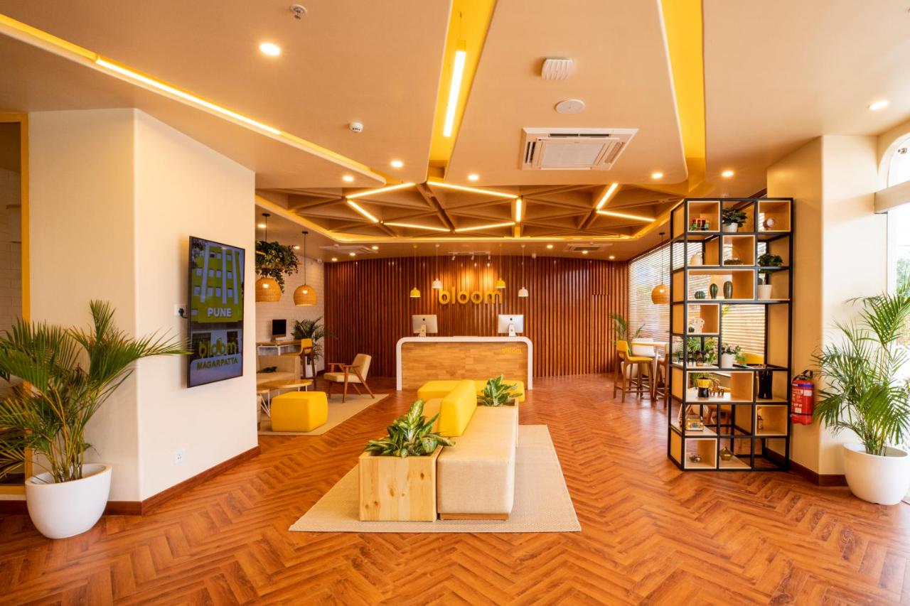 Galería