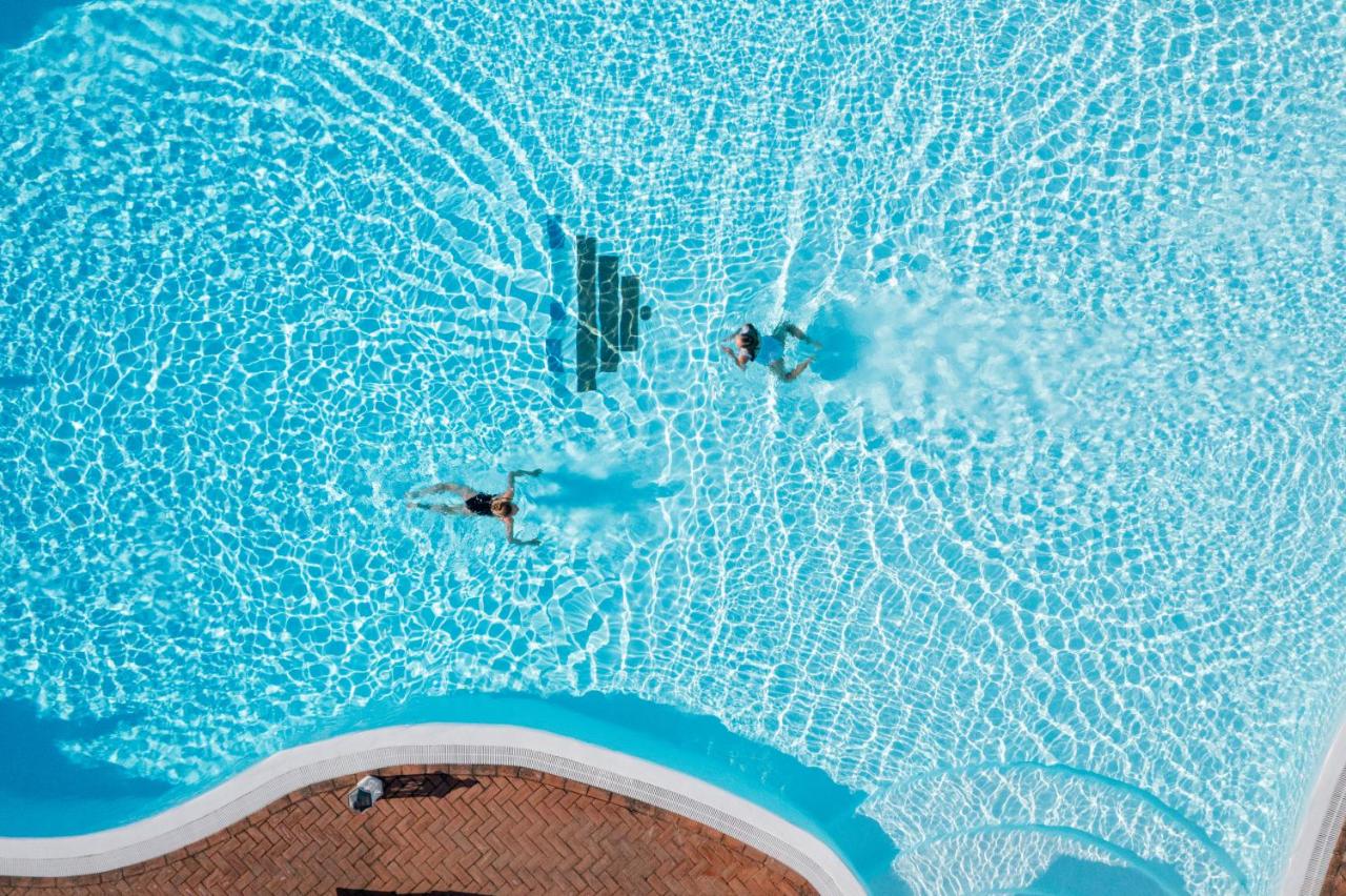 جاليرى