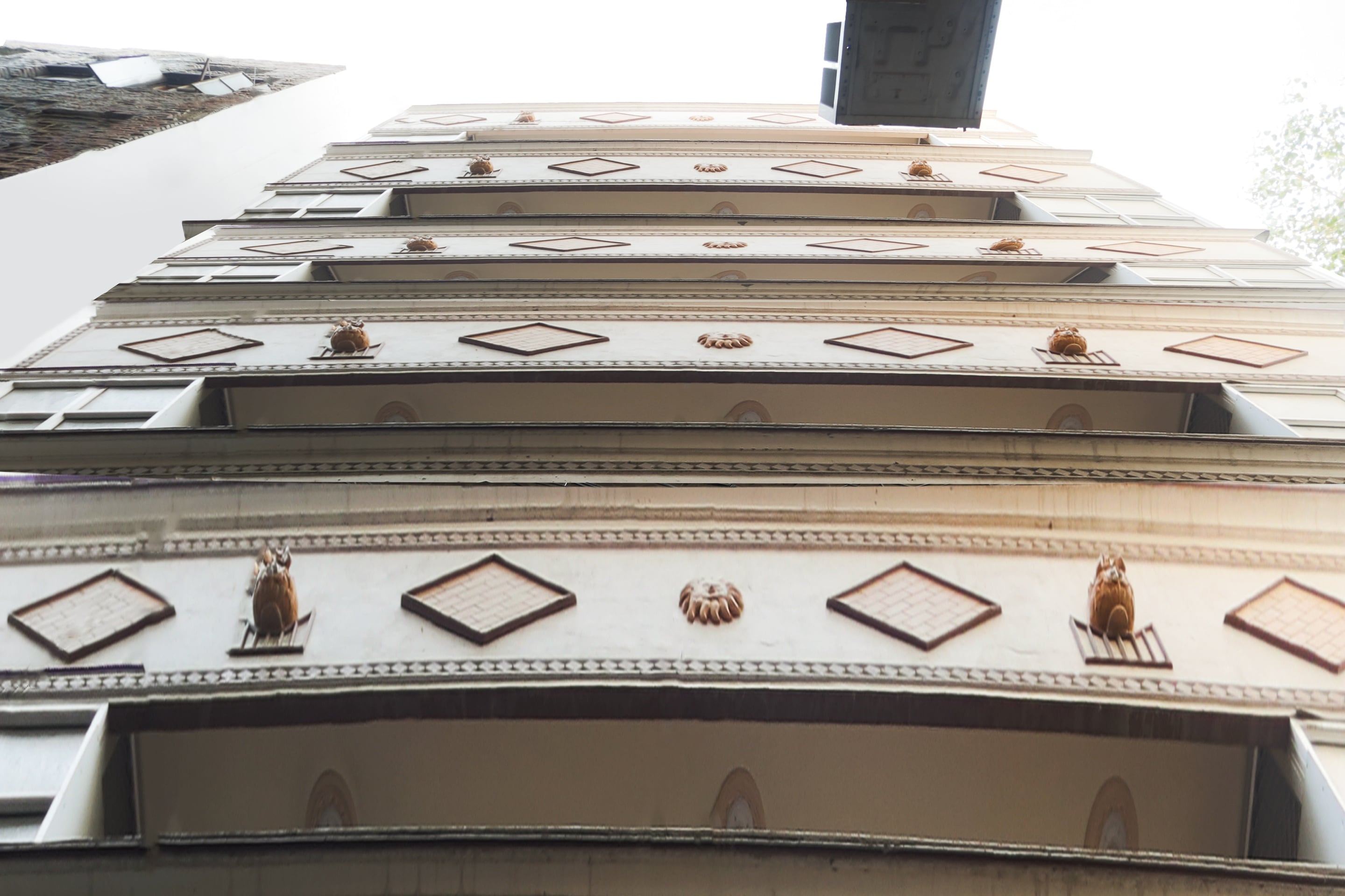 OYO Flagship 75860 Green High