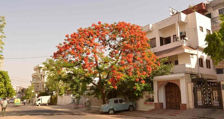 Sneh Deep Guest House