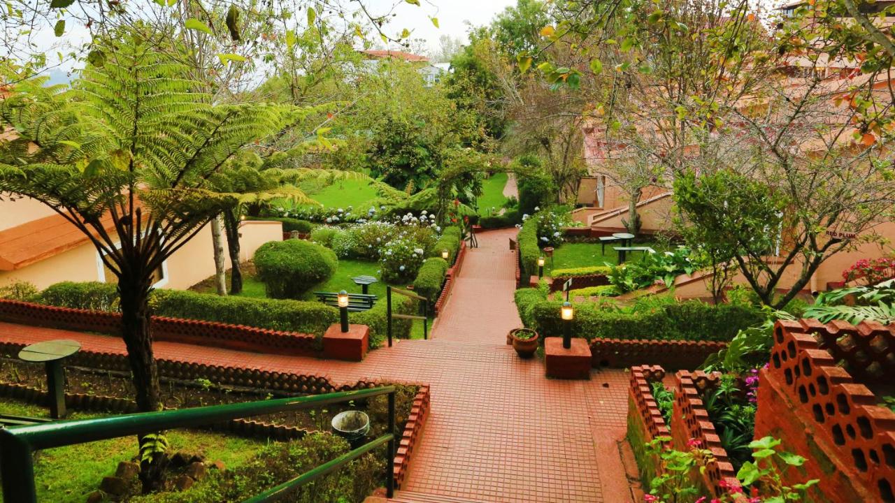 Galería