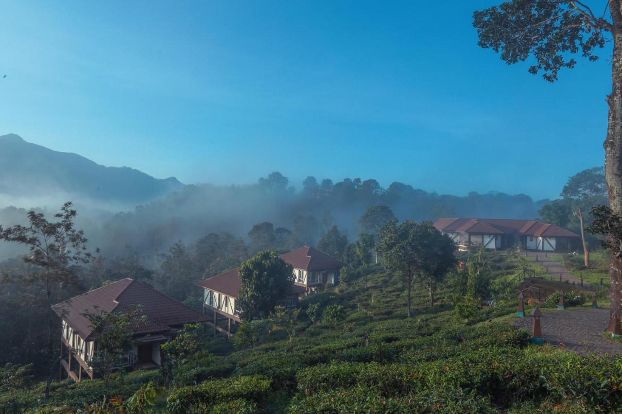 Jeevess Wellness Resort