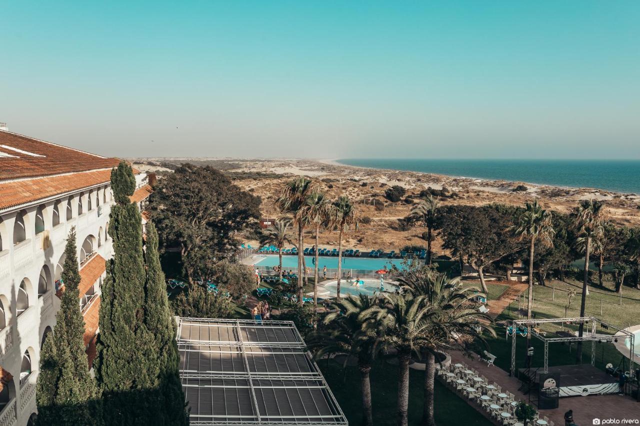 جاليرى