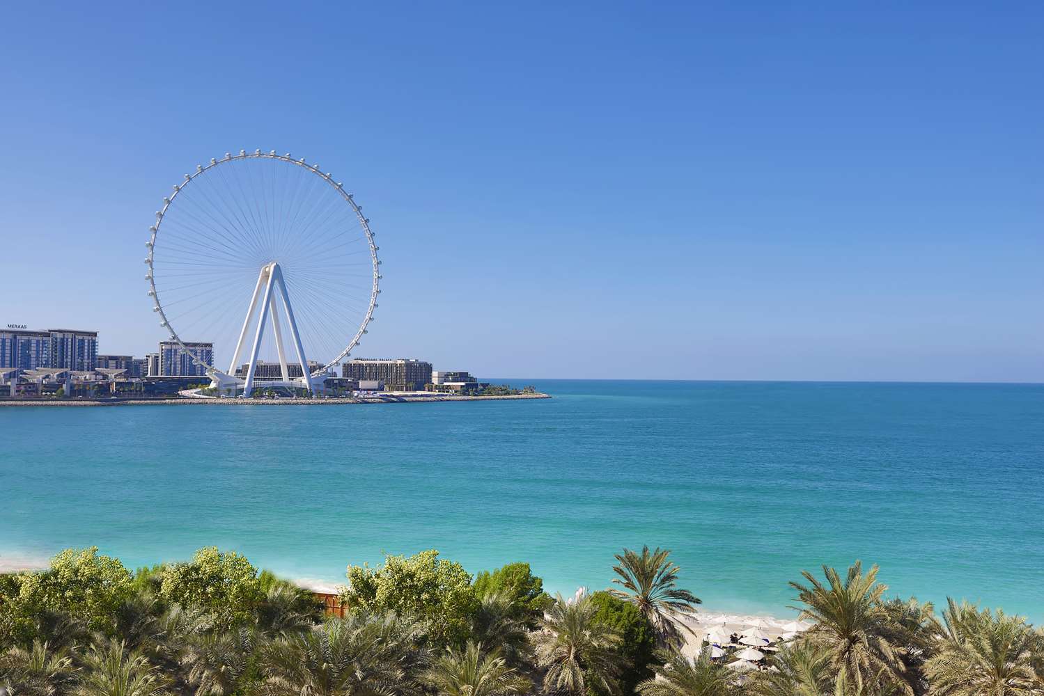جاليرى