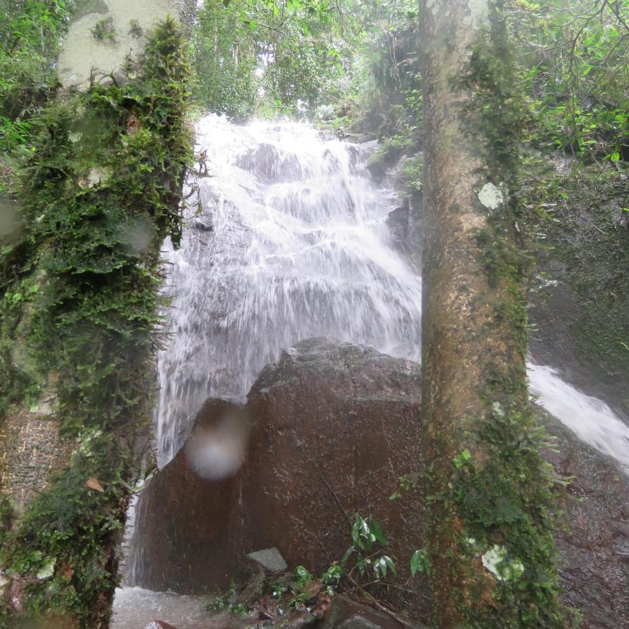 Galería