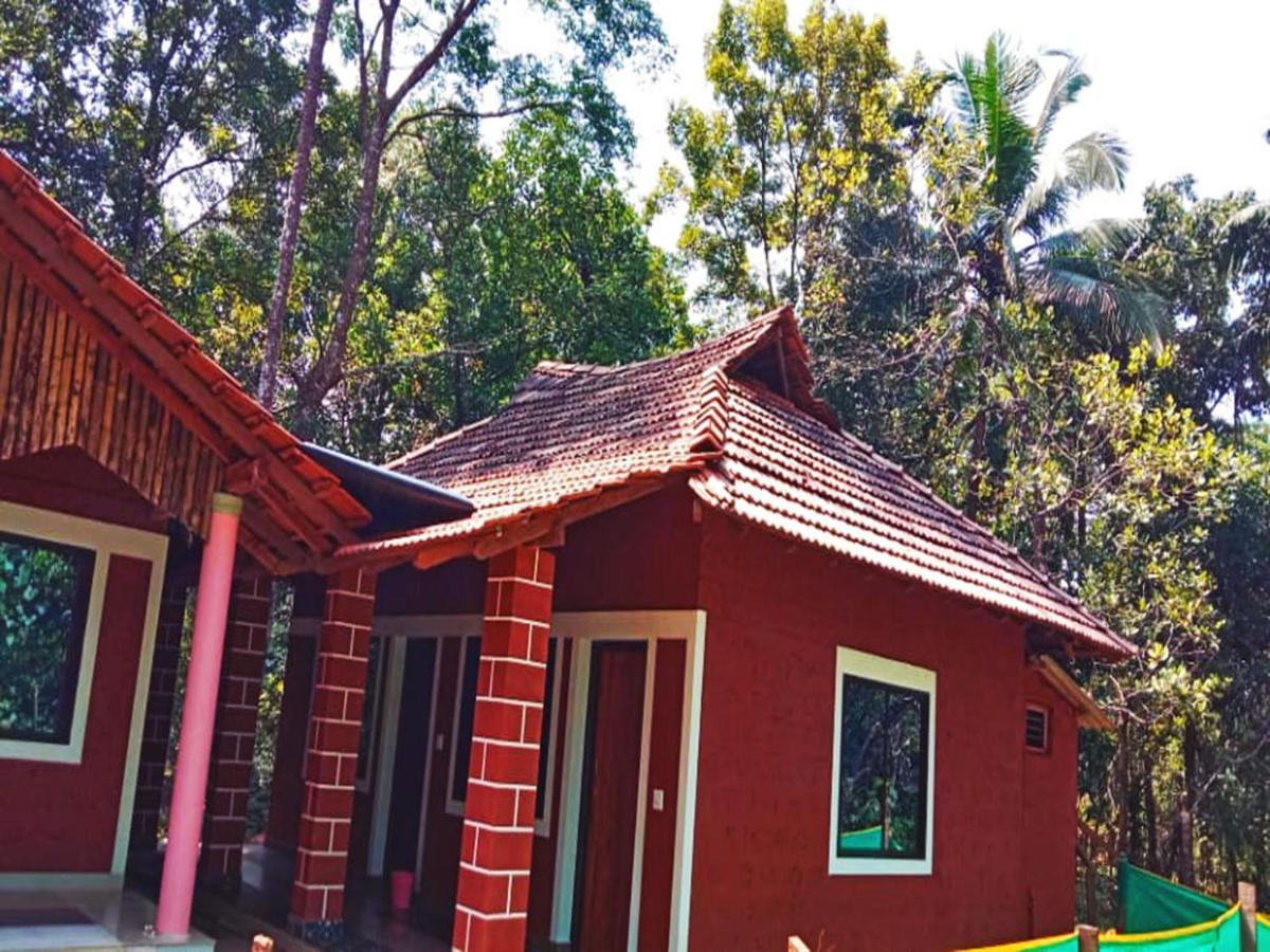 Galería