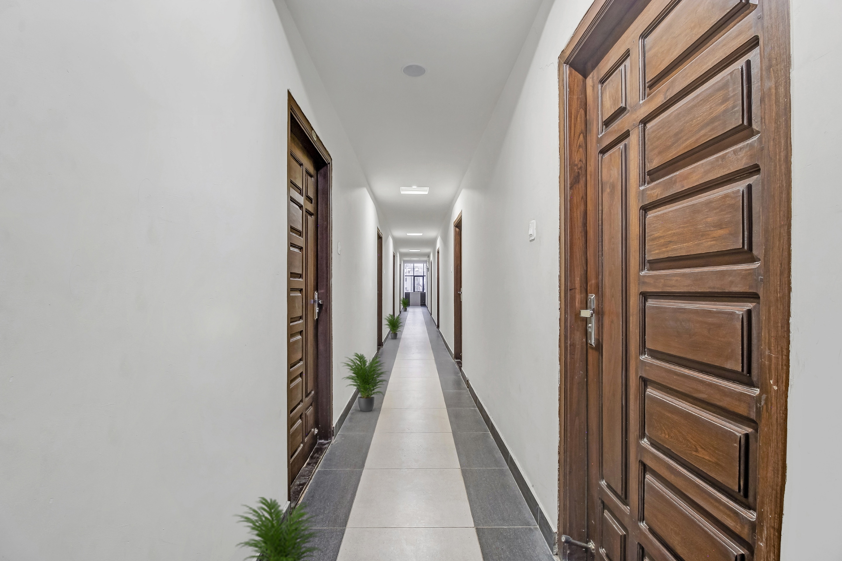 Galería