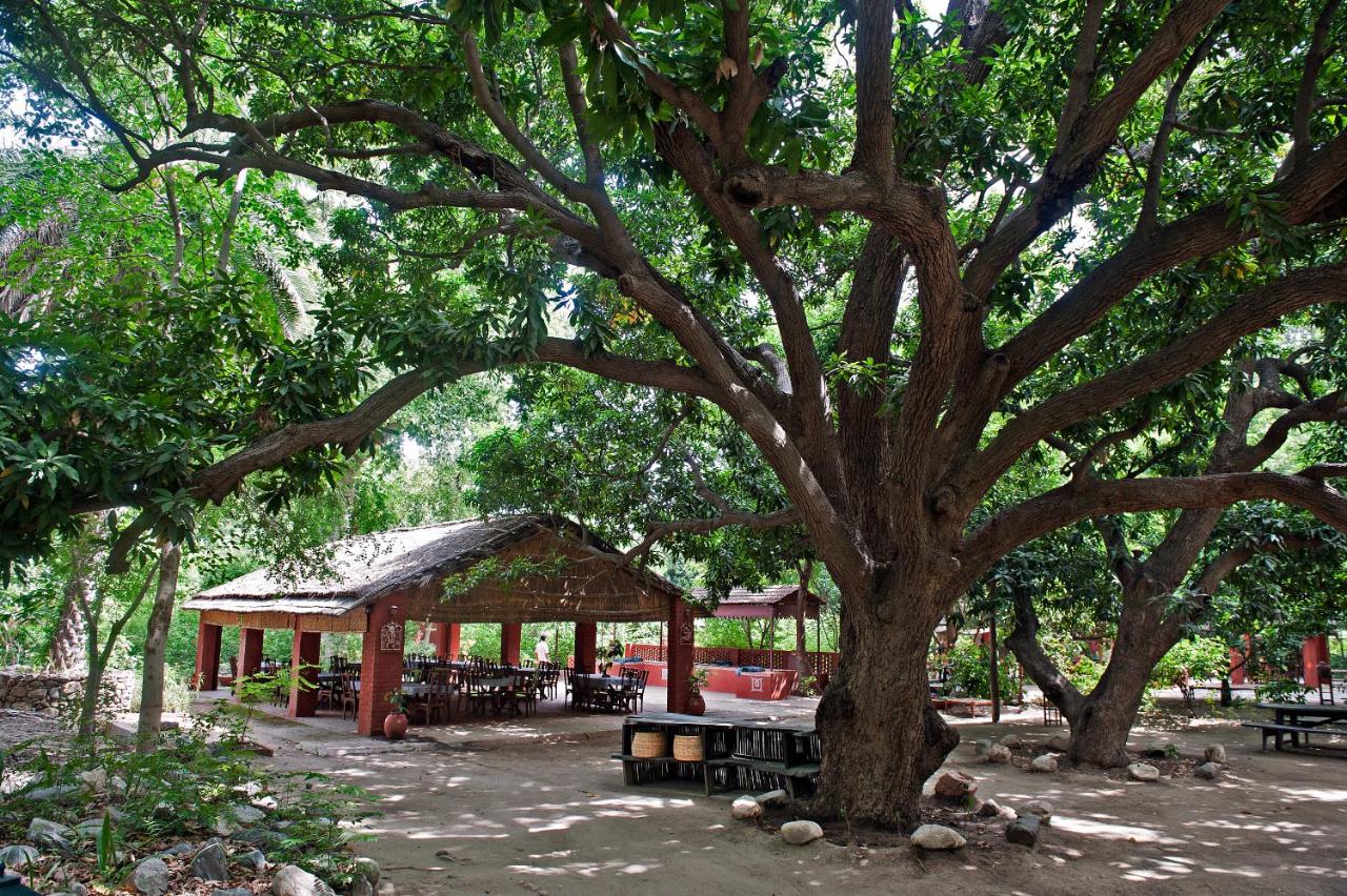 Galeria