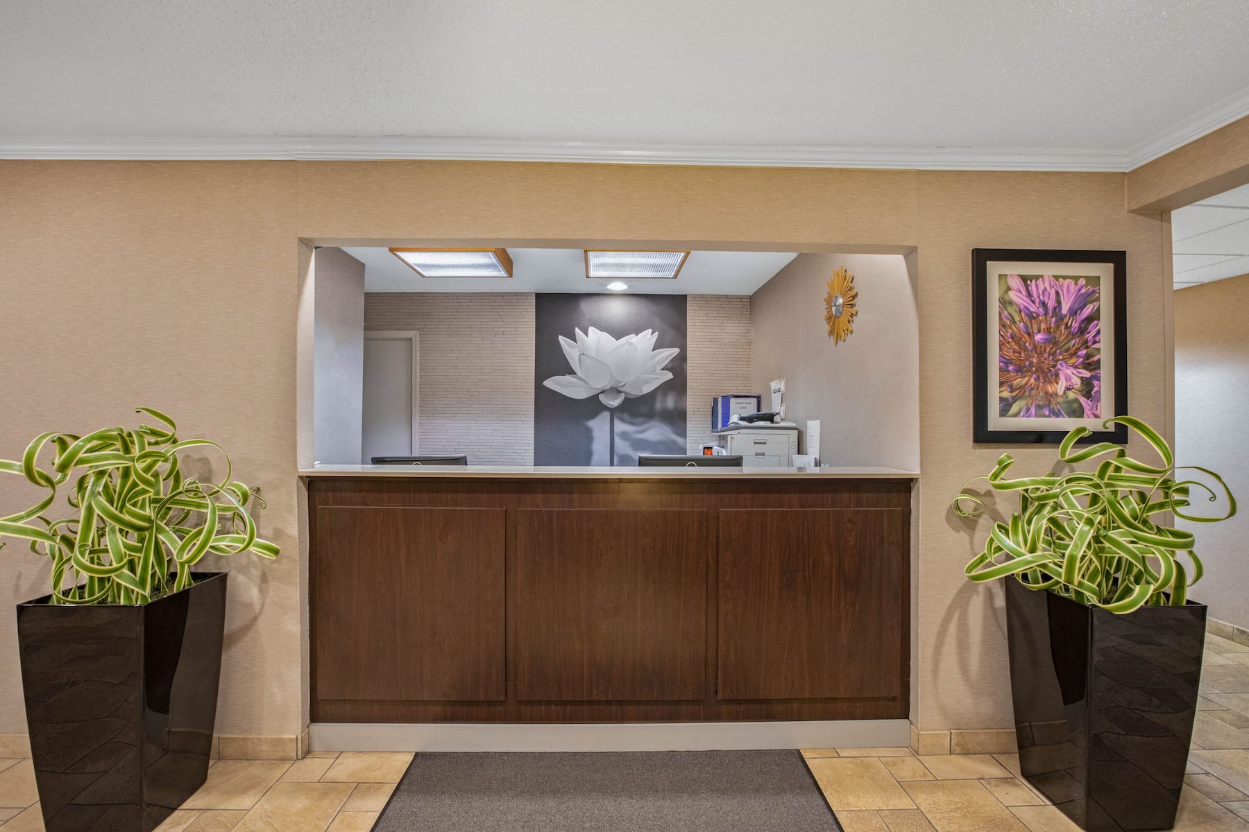 Galería